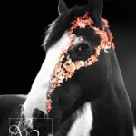 Pferdekopf mit Blattgolddeko beim Fotoshooting